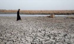 بسبب شحة المياه.. العراق يوقف الزراعة في أيلول المقبل